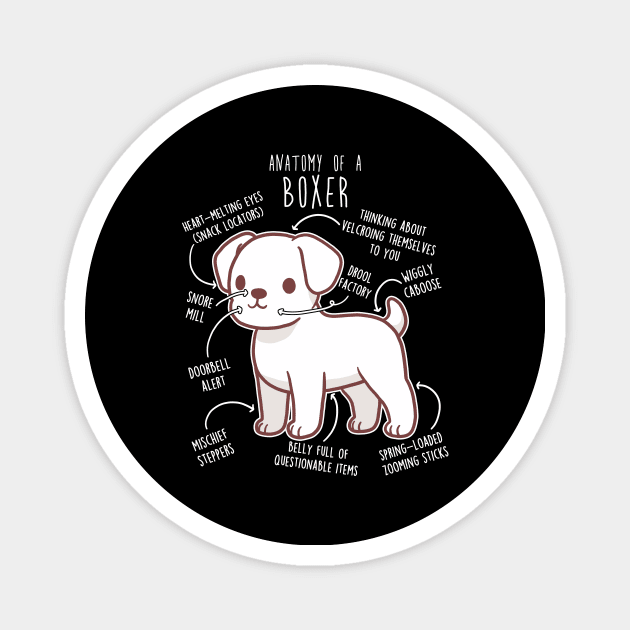 Boxer Dog White Anatomy Magnet by Psitta